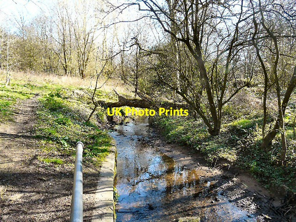 Photo 6"x4" Godley Brook Hyde\/SJ9494 c2012