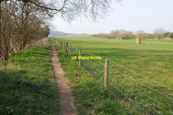 Photo 6"x4" The Severn Way near Lickhill Stourport-on-Severn c2012