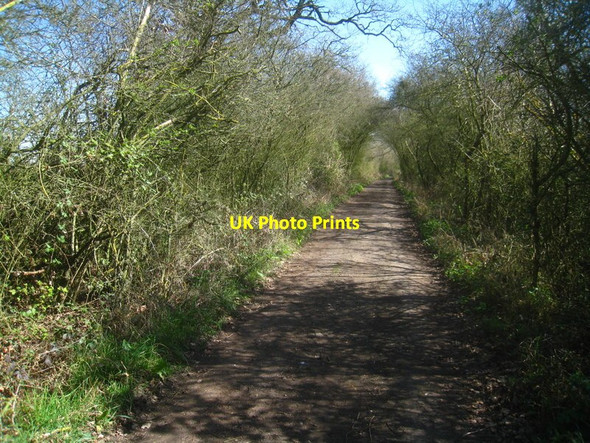 Photo 6"x4" The Devil's Highway Stratfield Saye c2012