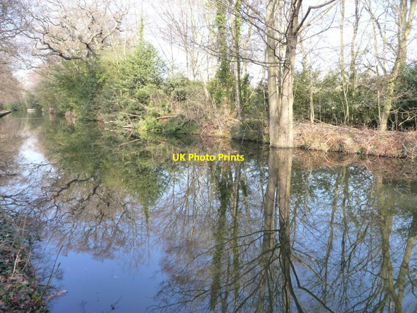 Photo 6"x4" Reflections along the Basingstoke Canal Farnborough\/SU8754 c2012