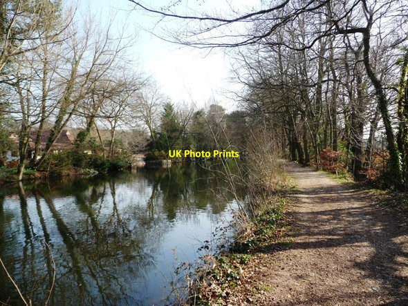 Photo 6"x4" Towpath on the Basingstoke Canal Farnborough\/SU8754 c2012