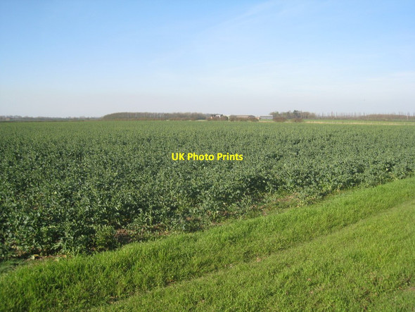 Photo 6"x4" View towards Willoughton Grange Yawthorpe c2012