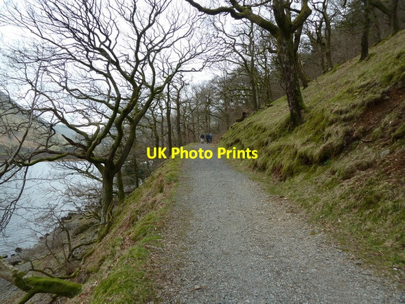 Photo 6"x4" Footpath between Low and Brothers Water Hartsop c2012
