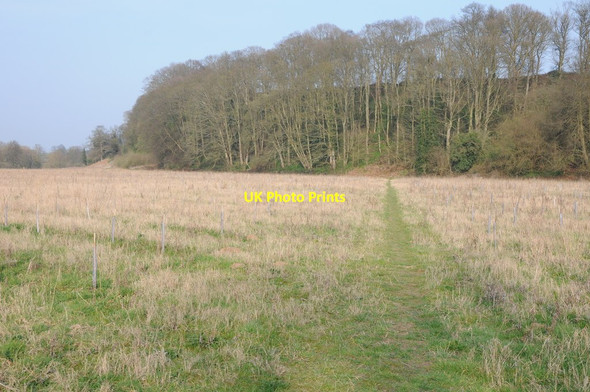 Photo 6"x4" Wooded ridge near Blackstone Rock Bewdley\/SO7875 c2012