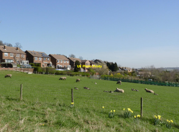 Photo 6"x4" Spring comes to Loxley Loxley\/SK3089 c2012