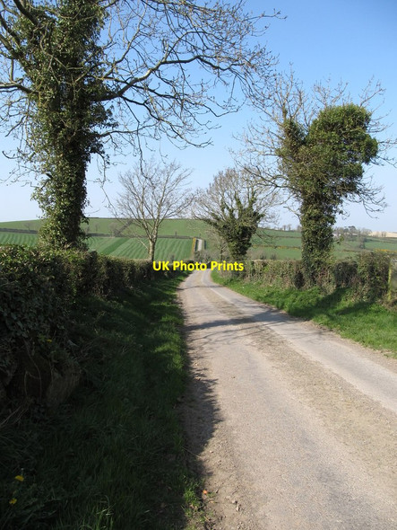Photo 6"x4" View north-westwards along Cavehill Lane Annaclone c2012
