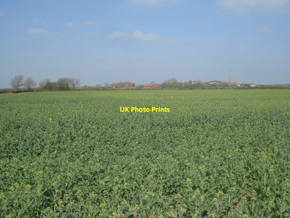 Photo 6"x4" View towards Bonsdale Farm Aisby\/SK8792 c2012
