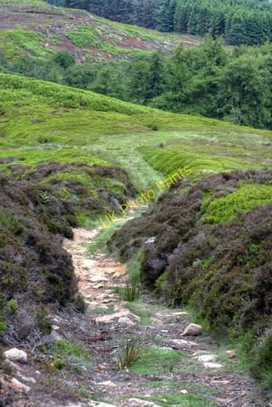 Photo 6"x4" Sunken Track From High House Farm Thorgill c2008