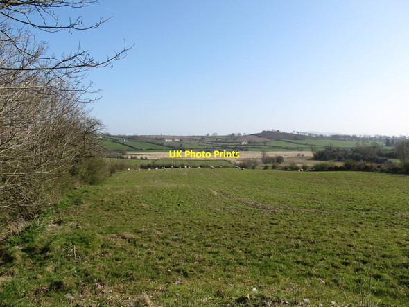Photo 6"x4" Pasture land and inter-drumlin wetland north of Millvale Road Annaclone c2012