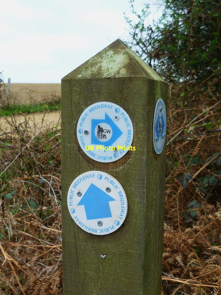 Photo 6"x4" New waymark on the Greensand Way in Surrey Hambledon\/SU9638 c2012