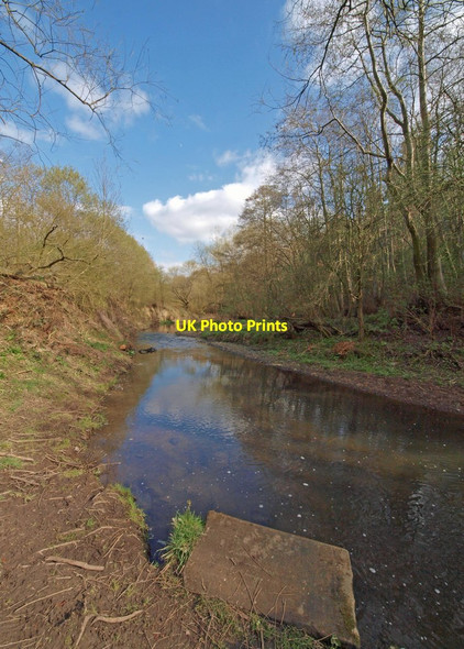 Photo 6"x4" The River Dove, Wombwell Low Laithes\/SE3804 c2012