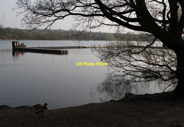 Photo 6"x4" Brent Reservoir Hendon\/TQ2389 c2012