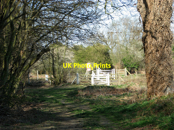 Photo 6"x4" Track to Bear's Grove level crossing Salhouse c2012