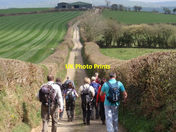 Photo 6"x4" Hen heol Cwmdwyfran old road Newchurch\/SN3824 c2012