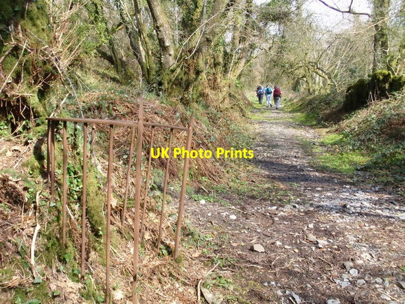 Photo 6"x4" Llwybr march Llannewydd - Newchurch bridleway Newchurch\/SN3824 c2012