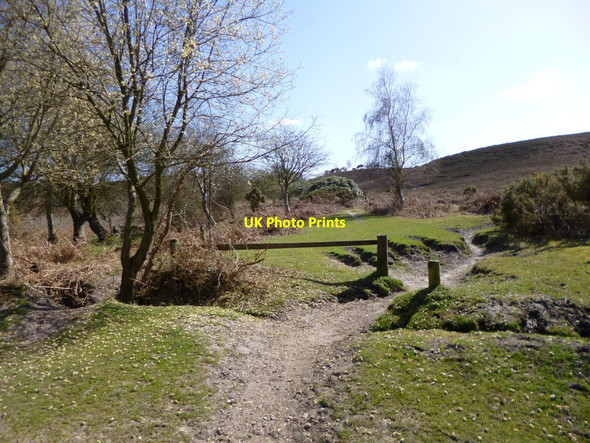 Photo 6"x4" Ibsley Common, gate Furze Hill\/SU1711 c2012