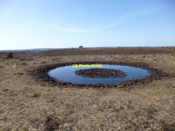 Photo 6"x4" Ibsley Common, pond Furze Hill\/SU1711 c2012
