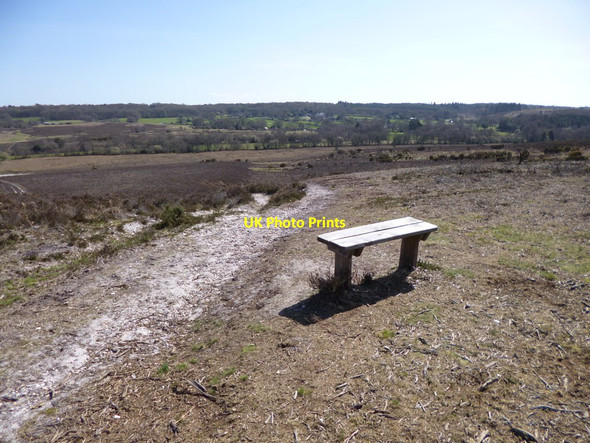 Photo 6"x4" Ibsley Common, bench Linwood\/SU1809 c2012