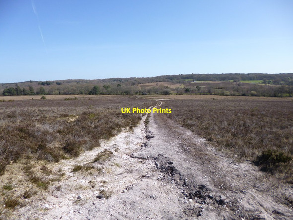 Photo 6"x4" Ibsley Common, track Linwood\/SU1809 c2012