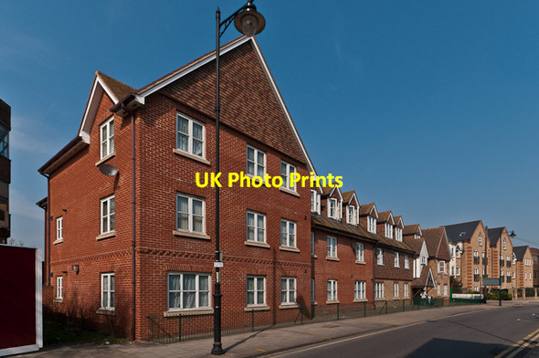Photo 6"x4" Redwing Court Orpington c2012