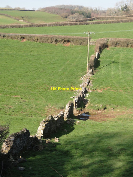 Photo 6"x4" Pasture Fields near Broadway Farm Torbryan c2012