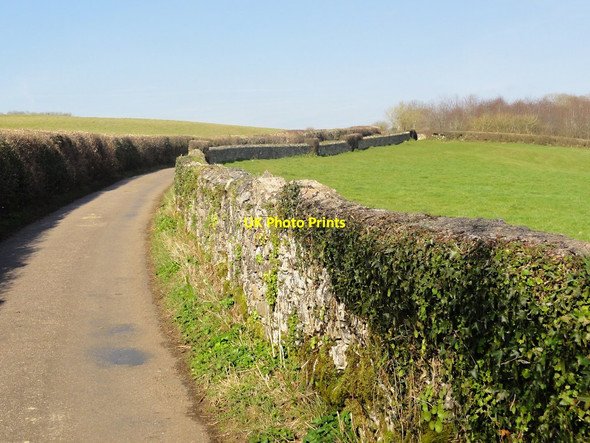Photo 6"x4" The Road to Wrenwell Cross Wotton Cross\/SX8069 c2012