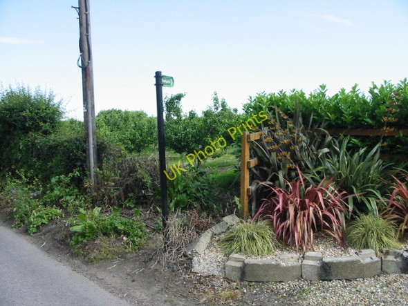 Photo 6"x4" Footpath to Marshborough Gore\/TR3055 c2008