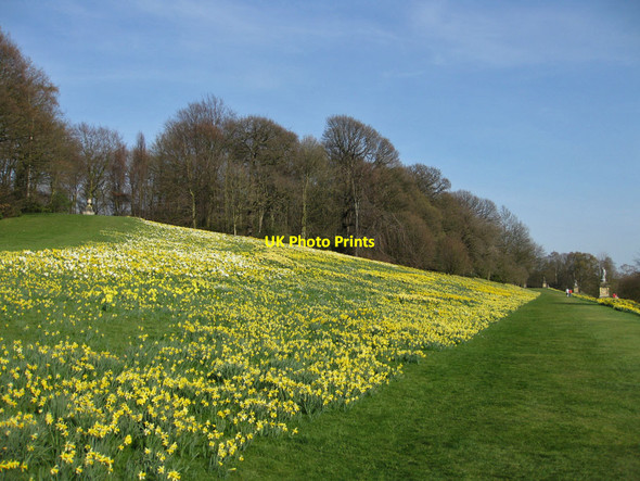 Photo 6"x4" Terrace Walk, early spring Coneysthorpe c2012
