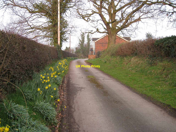 Photo 6"x4" Road into Wornish Nook Hulme Walfield c2012