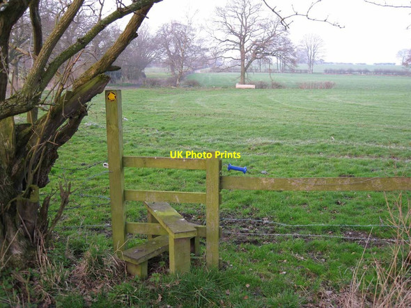 Photo 6"x4" Footpath towards Grove House Farm Hulme Walfield c2012