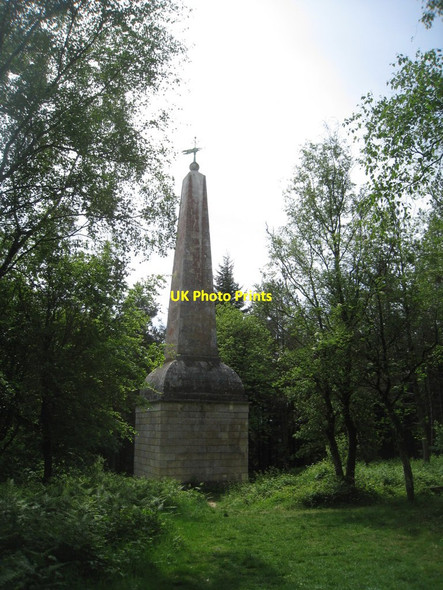 Photo 6"x4" Mamhead, obelisk Ashcombe\/SX9179 c2011