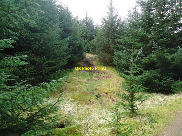 Photo 6"x4" Meikle Bin, track [2] Bin Bairn c2012