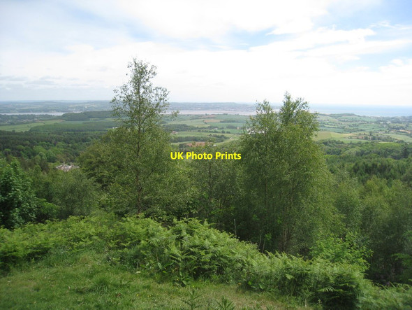 Photo 6"x4" View from Mamhead viewpoint Ashcombe\/SX9179 c2011