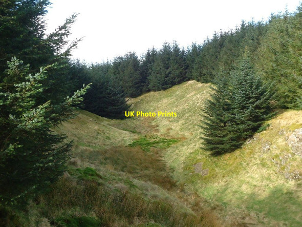 Photo 6"x4" Bin Bairn, clearing Bin Bairn c2012