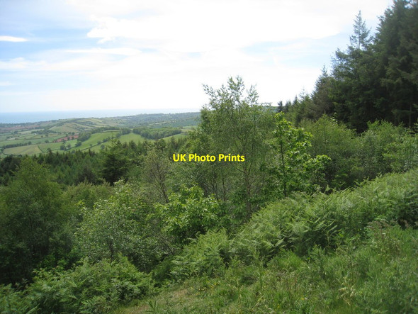 Photo 6"x4" View from Mamhead viewpoint (2) Ashcombe\/SX9179 c2011