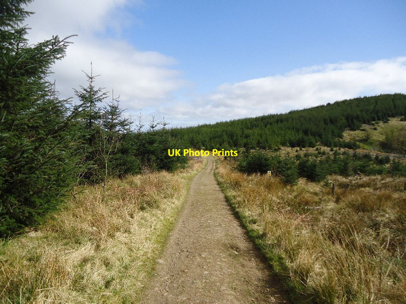 Photo 6"x4" Meikle Bin, track [4] Bin Bairn c2012