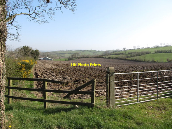 Photo 6"x4" View north-eastwards across farmland from Sentry Box Road Annaclone c2012