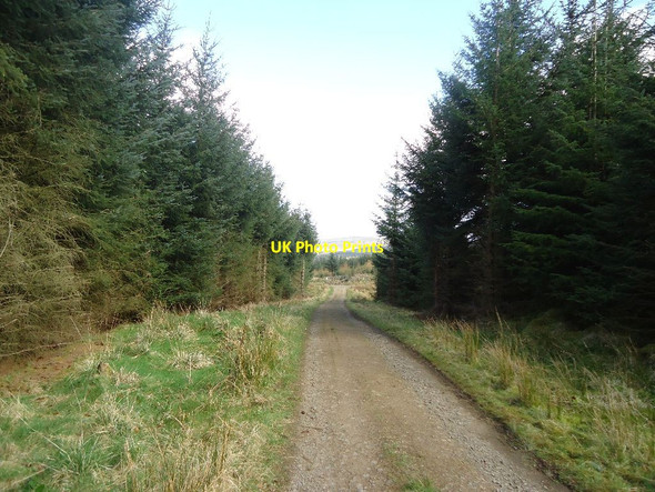 Photo 6"x4" Carron Valley Forest, track [2] Little Bin\/NS6782 c2012