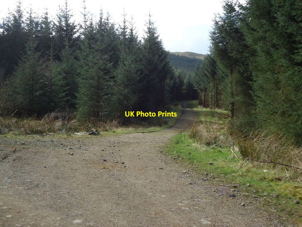 Photo 6"x4" Carron Valley Forest, track [5] Little Bin\/NS6782 c2012
