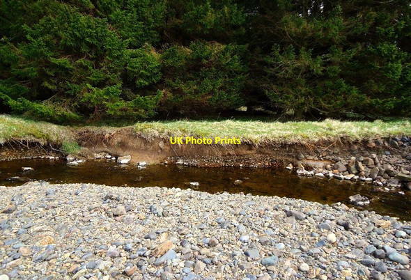 Photo 6"x4" Carron Valley Forest, River Carron [5] River Carron\/NS6684 c2012