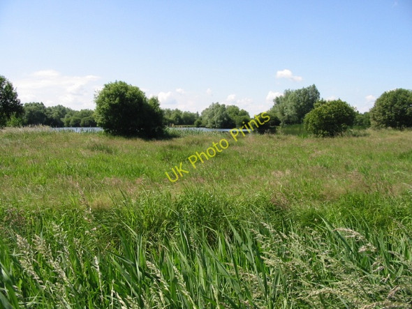 Photo 6"x4" Looking S along the Newnham Valley Grove Hill\/TR2360 c2008