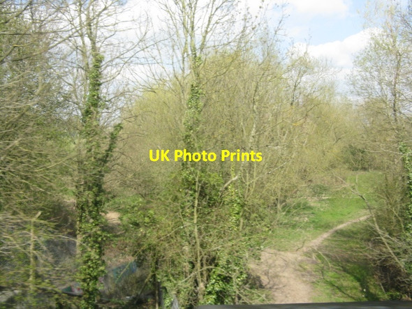 Photo 6"x4" Path through the trees Uxbridge c2012