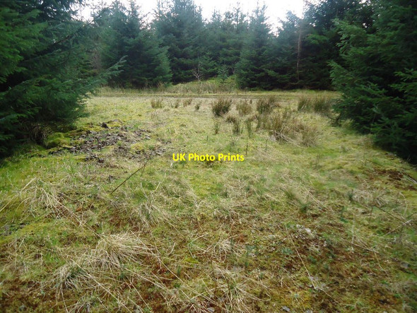 Photo 6"x4" Carron Valley Forest, turning place [2] Gartcarron Hill c2012