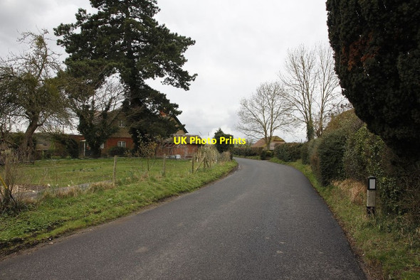 Photo 6"x4" Along the Horsebridge road Bossington\/SU3331 c2012
