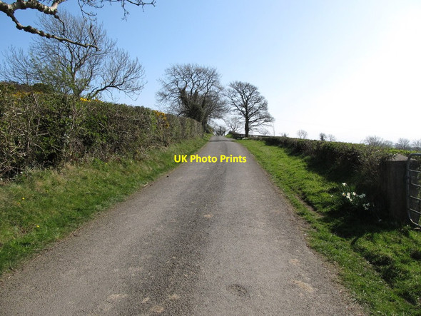 Photo 6"x4" View east along Lisnacroppan Road Milltown\/J1436 c2012