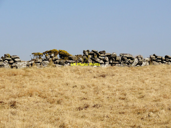 Photo 6"x4" Moorland Granite Wall Postbridge c2012