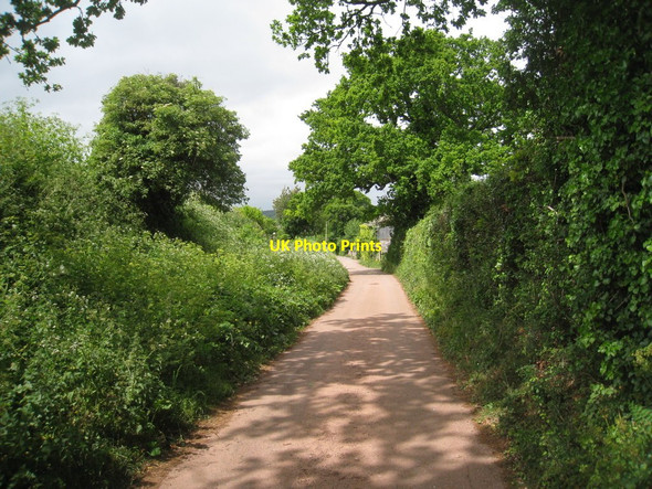 Photo 6"x4" Witcombe Lane South Town\/SX9683 c2011