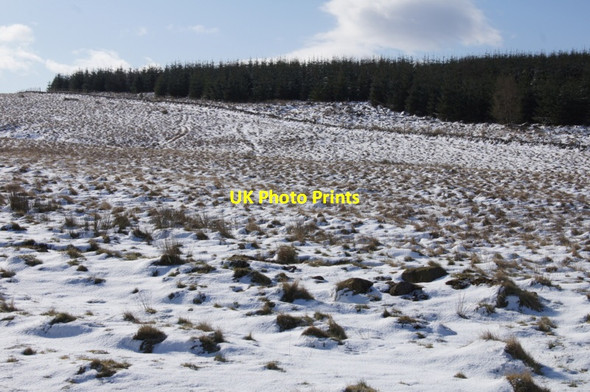 Photo 6"x4" Moorland and forestry above Bridge of Cally Bridge of Cally c2012