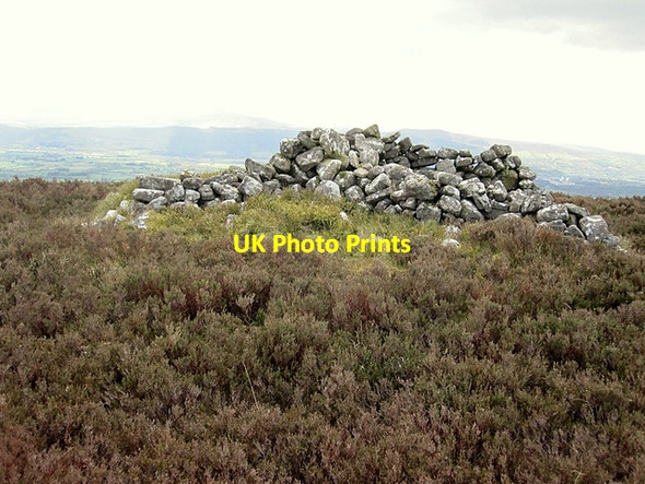 Photo 6"x4" Heather and Rocks Ballypatrick c2012