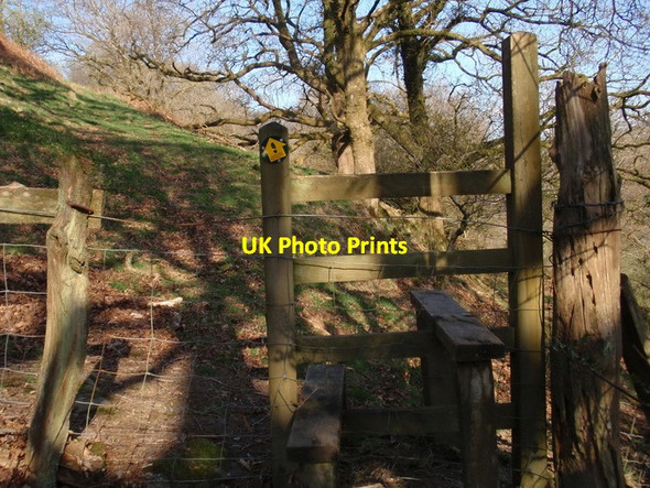 Photo 6"x4" Sticil Llanfynydd \/ Llanfynydd stile Llanfynydd\/SN5527 c2012